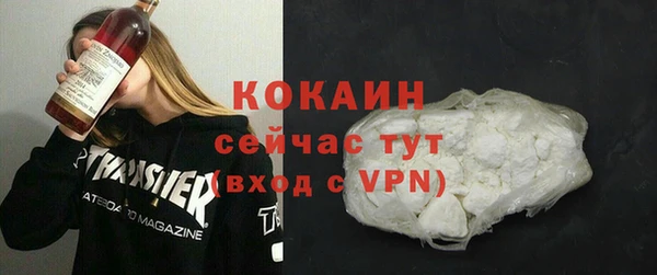 винт Лагань