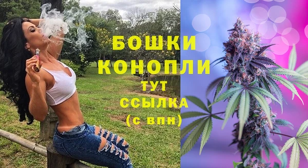 твердый Лиски