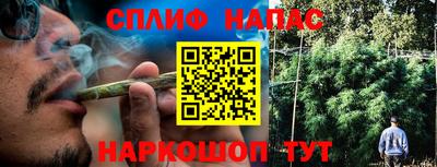 тгк Волгодонск