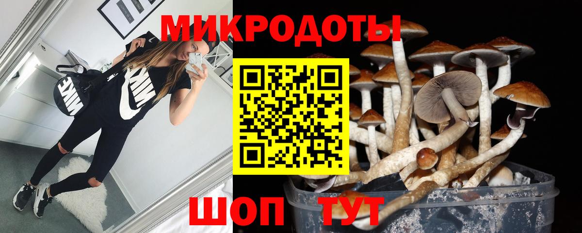 Псилоцибиновые грибы мухоморы  Дзержинский 