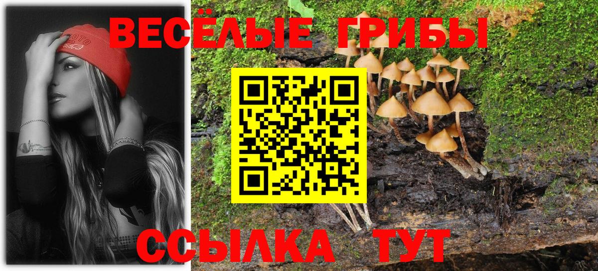 Мефедрон Дзержинский