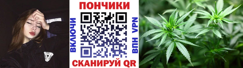 Конопля OG Kush закладка Дзержинский